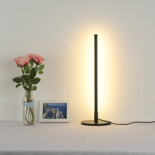 ModernSlender Floor Lamp
