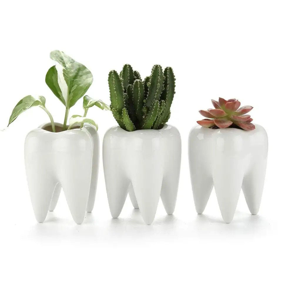 Tooth Planter