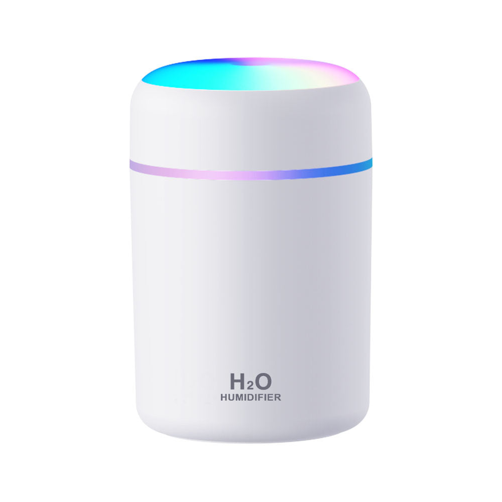 Portable Mini Humidifier