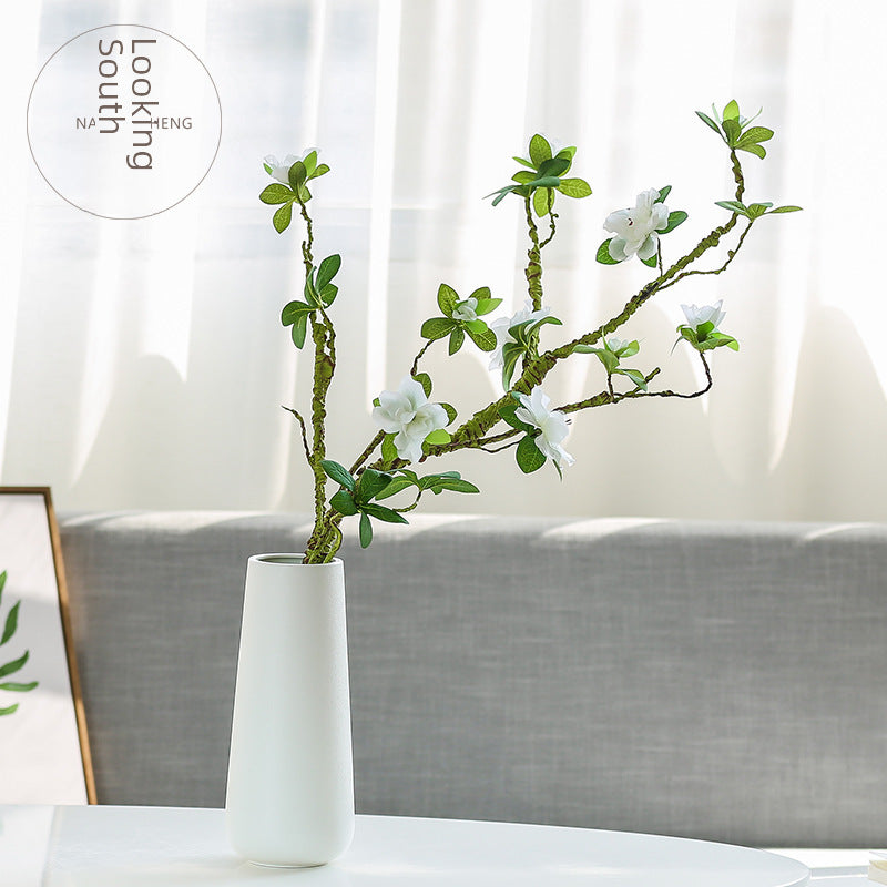 Sleek Vase
