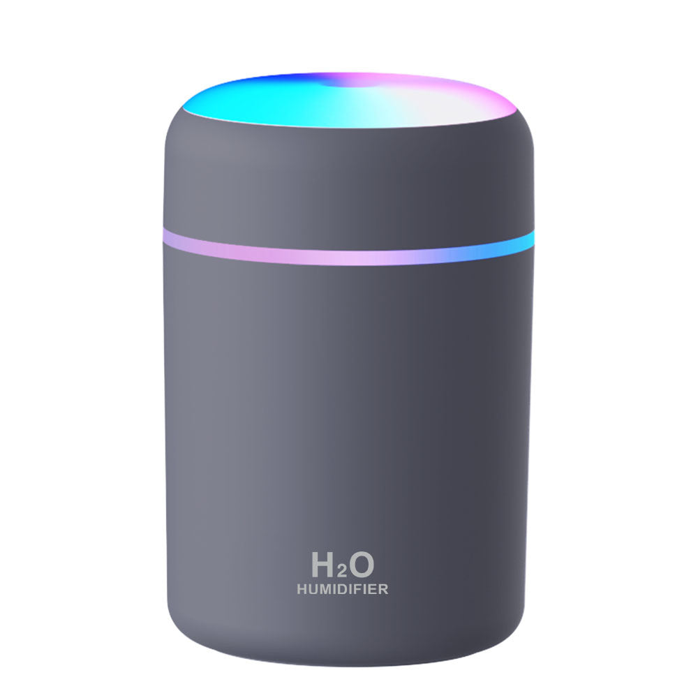 Portable Mini Humidifier