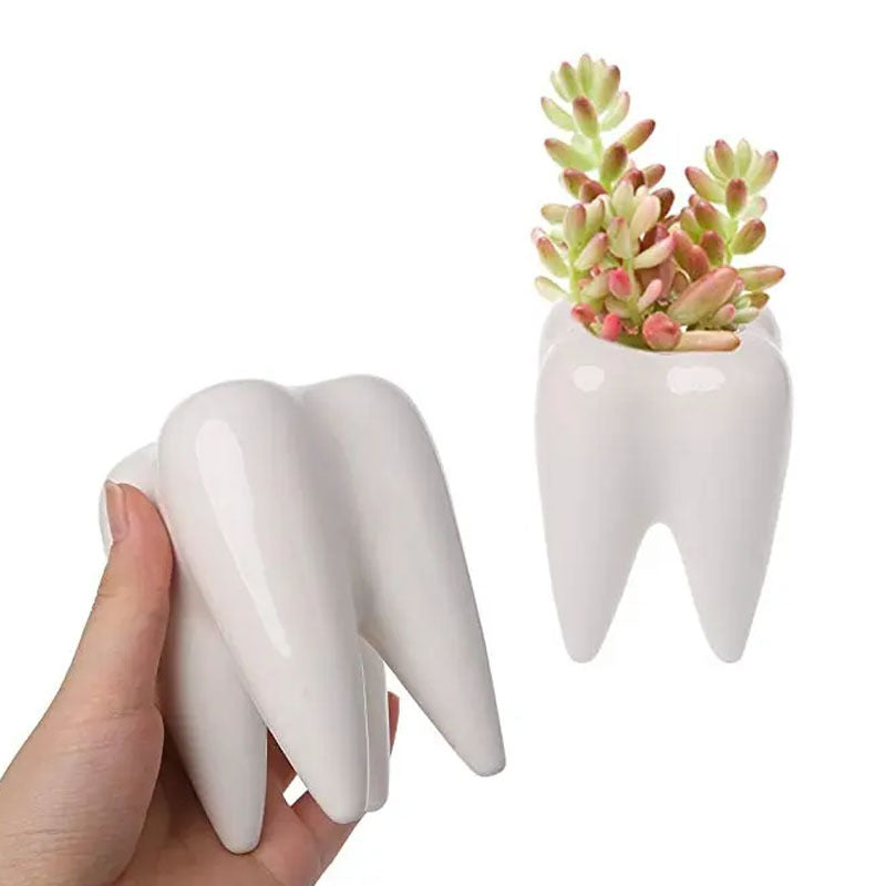 Manufacturer: Nordic ins wind succulent potted pure white ceramic pen holder home ornament tooth-shaped cross-border flower pot
